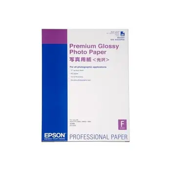 Epson Premium Glossy Photo Paper Photo Paper
Epson Premium Glossy Photo Paper Photo Paper