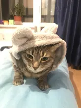 Jacket Clothing Puppy-Clothes Pet-Cat-Costume Dogs Soft-Fleece Chihuahua Winter For Yorkshire