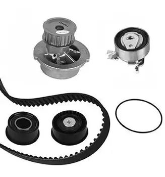 Repair KIT pump \ Opel Astra/Corsa/Vectra/Tigra/1.4/1.6 16V 93- 02 METELLI 30-0541-1
Repair KIT pump \ Opel Astra/Corsa/Vectra/Tigra/1.4/1.6 16V 93- 02 METELLI 30-0541-1