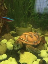 Aquarium Ornament Turtle-Decoration Polyresin Artificial-Fish-Tank 1pcs Supply Stylish