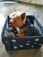 Portador de Mascota para coche, bolsa de viaje para asiento de perro y gato, impermeable, plegable, bolso para cachorro, alfombrilla, cubierta, canasta de Seguridad, 1 Uds.