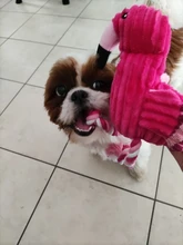 Limpieza de dientes juguete interactivo de dibujos animados Animal Flamingo de algodón en forma de perro de juguete de cuerda productos para entrenamiento de mascotas juguetes masticables para mascotas 1 Uds