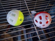 Pet Parrot Toy Bird Hollow Bell Ball For Parakeet Cockatiel Chew Fun Cage Toys 23