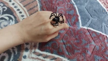 ZYZQ Neo-Simulación de araña anillo estilo Punk, parodia de Halloween, accesorios de juguete
