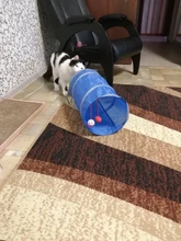 Juguete de túnel para mascotas, tubos de juego con 2 agujeros, bolas plegables, antiarrugas, para cachorros, hurones y conejos