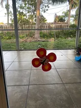 Juguetes Divertidos clásicos para niños, juguetes de dibujos animados para niños, con ventosa, Spinner, sonajero para bebé, juguetes de baño giratorios para niños