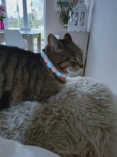 Bola de peluche de Collar para perros y gatos Collar dulce bufanda para perro lindo gatito accesorios Rosa correa para el cuello perrito con perla perro Pug Chihuahua