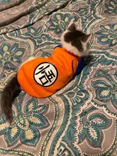 Ropa bonita para gatos, suéter para perros pequeños, suave y cálido, ropa para mascotas, otoño e invierno, XS-XXL