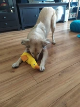 Juguete interactivo para gatos IQ Treat, juguete inteligente para mascotas, Bola de comida, dispensador de alimentos para gatos, juego de entrenamiento, suministros para mascotas