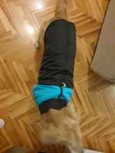 Jacket Puppy-Clothing Dog-Coat Dogs Golden-Retriever Waterproof Winter Pet-Vest Small