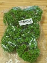 15cm modelo árbol bosque plantas haciendo accesorios HO escala tren ferrocarril paisaje Diorama o disposición, paquete de 5