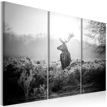 Picture-Black and White Deer I - 90x60 cm
Picture-Black and White Deer I - 90x60 cm