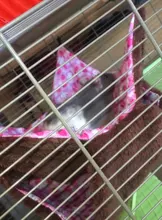 Hot Set Double Thick Plush Warm Bed Rat Hammock for Hamster House Hanging Nest Sleeping