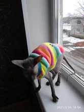 Ropa de Gato cálida para gatos, ropa de primavera y Gato, de lana suave, gatito, gatito, abrigos para gato, chaqueta, disfraces