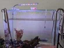 Filtro de acuario de acero inoxidable, accesorios de filtro externo, dentro y fuera del agua para eliminar la película de aceite, tubo de lirio, filtro de acuario