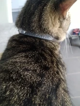 Ajustable personalizado perro collares de cuero PU reflectante Collar perros gato ID etiqueta personalizada grabado accesorio