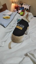 Traje de policía para Cosplay de perros y gatos, chaleco elástico negro, camiseta de cachorro, accesorios, ropa, disfraces
