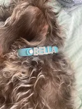 Collares para perro cachorro con diamantes de imitación ostentosos, Collar personalizado para perros pequeños y Chihuahua, dijes con nombre gratis, accesorios para mascotas