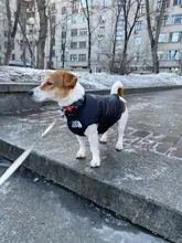 Dog Coat Jacket Pet-Dog-Clothes Down French-Bulldog Chihuahua Winter Fashion Small Medium-Sized