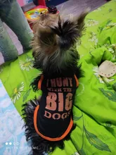 Prendas de verano para perro ropa para mascotas para perro chaleco camisa perros abrigados en invierno ropa de mascotas Chihuahua ropa para Yorkshire para perros