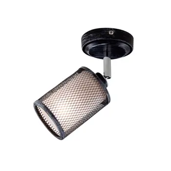 Cl535511 Robin TEM. Gray St.
Cl535511 Robin TEM. Gray St.