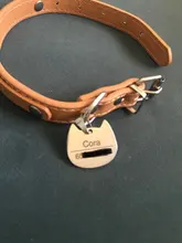 Placas de identificación personalizadas para perros, placas de identificación de Metal para cachorros, placas de identificación antipérdida para perros, gatos Pitbull, tarifa de grabado incluida accesorios para perros