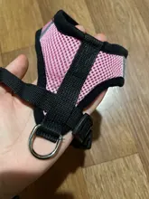 Breathable Mesh Small Dog Pet Harness and Leash Set Puppy Cat Vest Harness Collar For