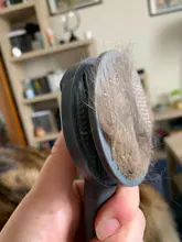 Peine automático para mascotas, cepillo eliminador de pelo Gato, peine para limpieza de belleza de perros, productos para mascotas