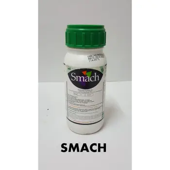 SMACH 300 ML
SMACH 300 ML