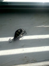 Crank Floating Trout Wobbler Fishing-Tackle Hard-Bait Bass Plastic Artificial Pike Japan