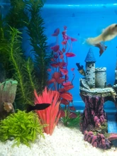 Aquarium-Decoration-Accessories Plant Water-Grass Fish-Tank Plastic Artificial NEW Narcissus