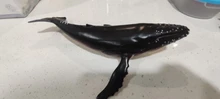 Figura de acción de vida marítima océano de gran tamaño, juguetes de modelo Animal para niños, colección de figuras de ballena, juguetes educativos