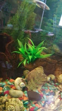 Decor Ornament Decorations-Plants Aquatic-Accessories Plant-Grass Aquarium Fish-Tank