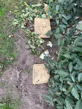 Personalizado recuerdo de gato piedras con un 3-D gato durmiendo en la parte superior de impresión de la pata al aire libre en el interior forGarden patio trasero marcadores de tumba