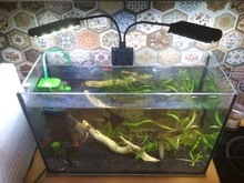 Aquarium-Lights Aquatic-Freshwater-Lamps Fish-Tanks Led-Plants Clip-On-Lamp Waterproof
