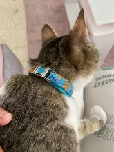 Collar de gato personalizado con nombre y campana para Chihuahua, placa de etiqueta con placa de identificación, con estampado Floral ajustable