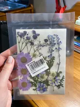 1 paquete Real secada de La Flor seca de las plantas para bricolaje molde Molde de resina rellenos de resina colgante collar joyería de uñas de arte UV Expoxy flor