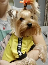 Puppy-Outfit Dogs-Clothing Chihuahua Dog Hoodie Pets Spring Small Fashion Medium