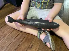 Figura de acción de vida marítima océano de gran tamaño, juguetes de modelo Animal para niños, colección de figuras de ballena, juguetes educativos