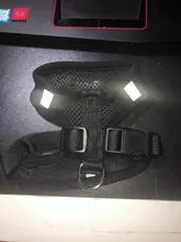 Breathable Mesh Small Dog Pet Harness and Leash Set Puppy Cat Vest Harness Collar For