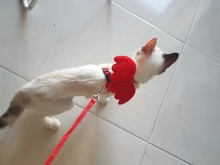 Conjunto de arnés y correa de Gato de Ángel para perros y gatos pequeños, correas ajustables de 10 colores para mascotas