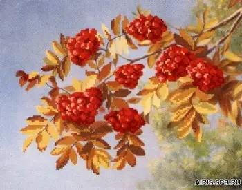 Sb-028 scheme for embroidery with beads on the author's canvas 'чарівна MIT', 30*23,5 cm
Sb-028 scheme for embroidery with beads on the author's canvas 'чарівна MIT', 30*23,5 cm