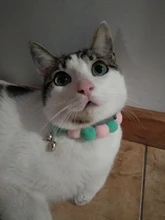 Bola de peluche de Collar para perros y gatos Collar dulce bufanda para perro lindo gatito accesorios Rosa correa para el cuello perrito con perla perro Pug Chihuahua