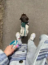 Scarf Jacket Dogs French Bulldog Winter Plush-Coat Pet-Dog Cotton Warm Thick for Puppy-Ropa-Perro