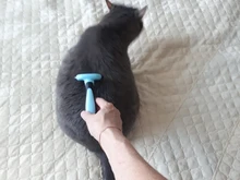 Peine de pelo para perros y gatos, cepillo para eliminar el pelo de mascotas, Suministros y Accesorios de cuidado