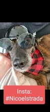 Pañuelo clásico a cuadros para perros y gatos, accesorios para el cuidado de mascotas, bufanda pañoleta, toalla de Saliva