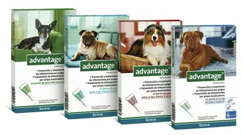 ADVANTAGE FOR DOGS
ADVANTAGE FOR DOGS