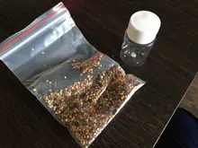 10g/50g Messor structor hormiga cosechadora comida mezclada cereales granja de hormigas comer hormigas nido taller para hormiguero hormigero Accesorios