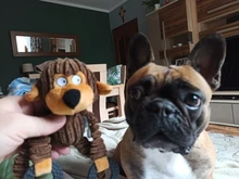 Juguete para mascotas de pana en forma de Donkey, juguete para morder de pana para perro, cachorro, muñeco de felpa con sonido, suministros para Entrenamiento de mascotas