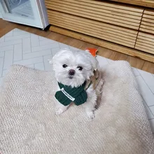 Scarf Jacket Dogs French Bulldog Winter Plush-Coat Pet-Dog Cotton Warm Thick for Puppy-Ropa-Perro